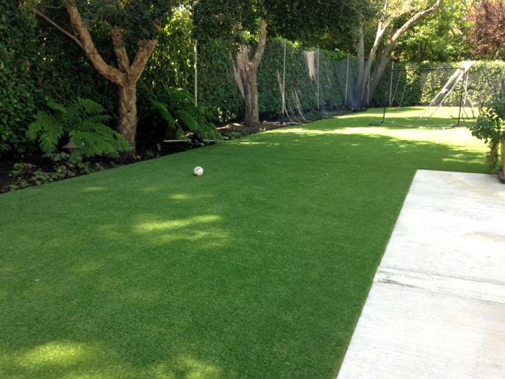 Turf Grass Sells, Arizona Fake Grass For Dogs