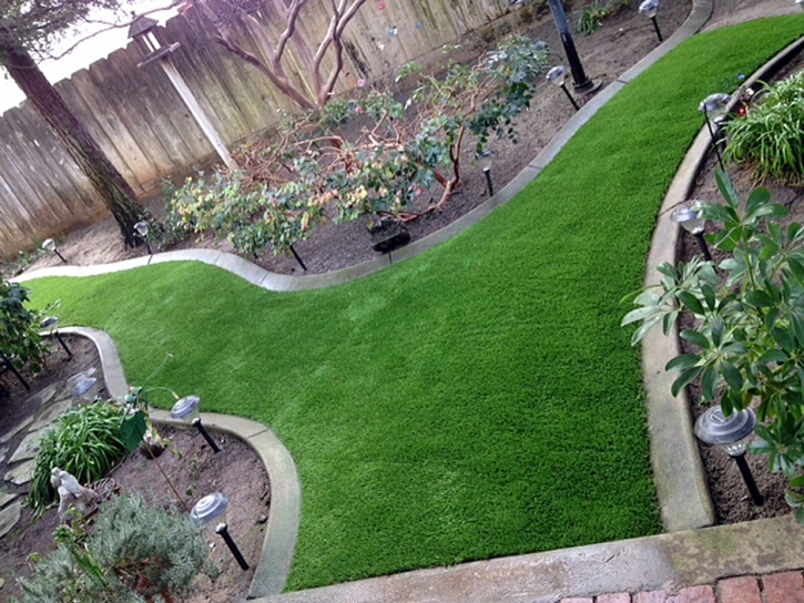 Turf Grass Sun Valley, Arizona Gardeners, Backyard Landscape Ideas